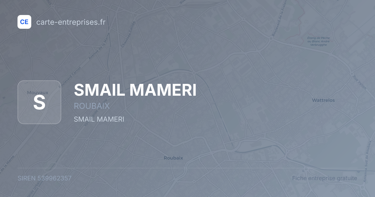 SMAIL MAMERI — 539962357 — fiche entreprise