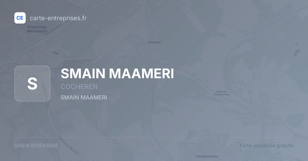 SMAIN MAAMERI — 801545666 — fiche entreprise