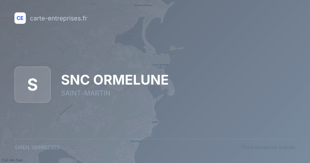 SNC ORMELUNE — 389962325 — fiche entreprise