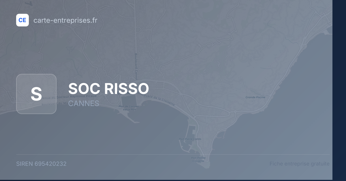 SOC RISSO — 695420232 — fiche entreprise