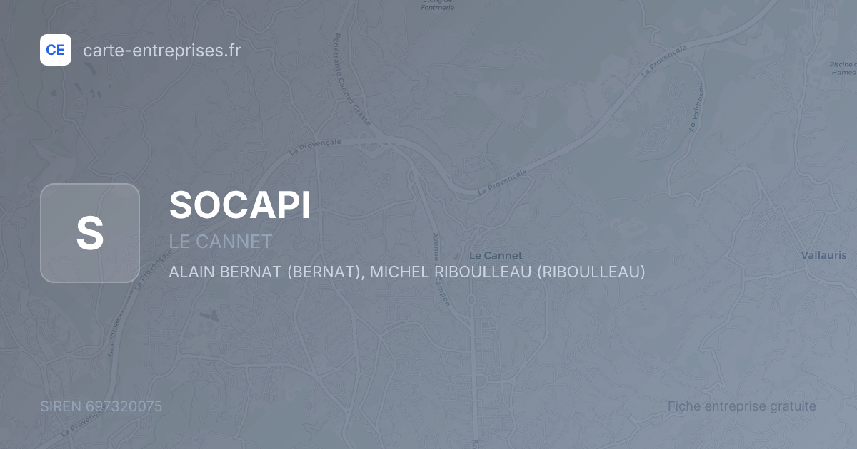 SOCAPI — 697320075 — fiche entreprise