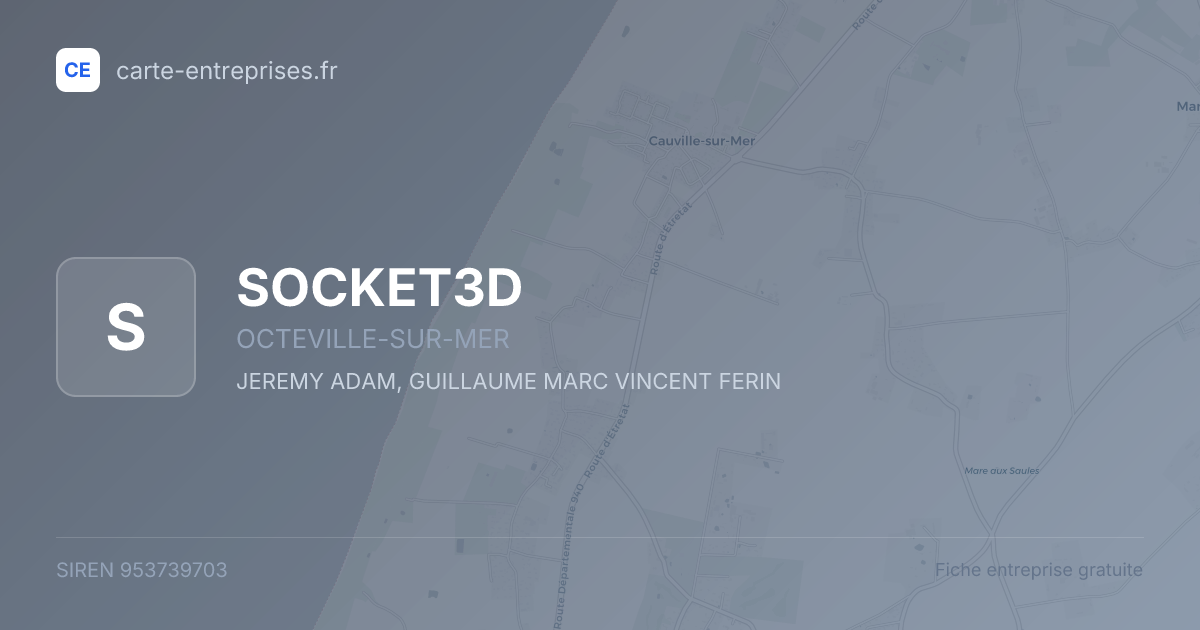 SOCKET3D — 953739703 — fiche entreprise