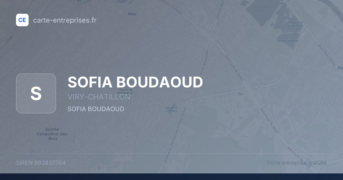 SOFIA BOUDAOUD — 993837764 — fiche entreprise