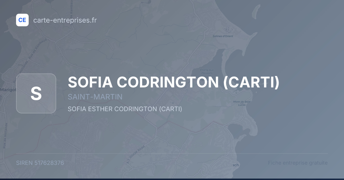 SOFIA CODRINGTON (CARTI) — 517628376 — fiche entreprise