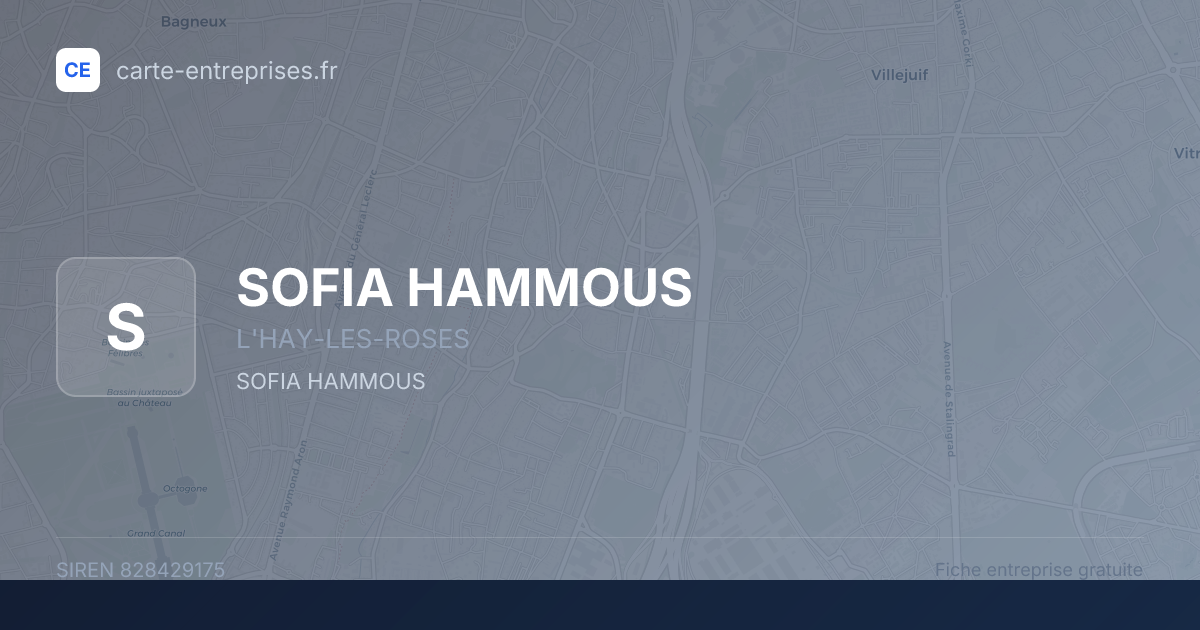 SOFIA HAMMOUS — 828429175 — fiche entreprise