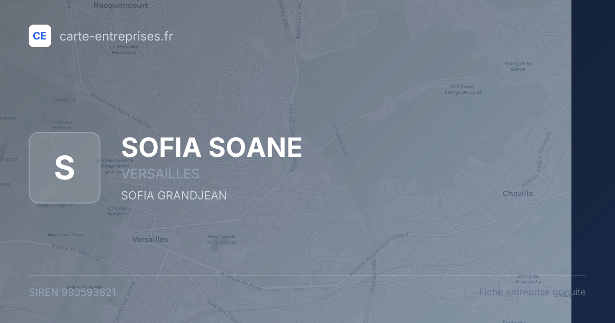 SOFIA SOANE — 993593821 — fiche entreprise