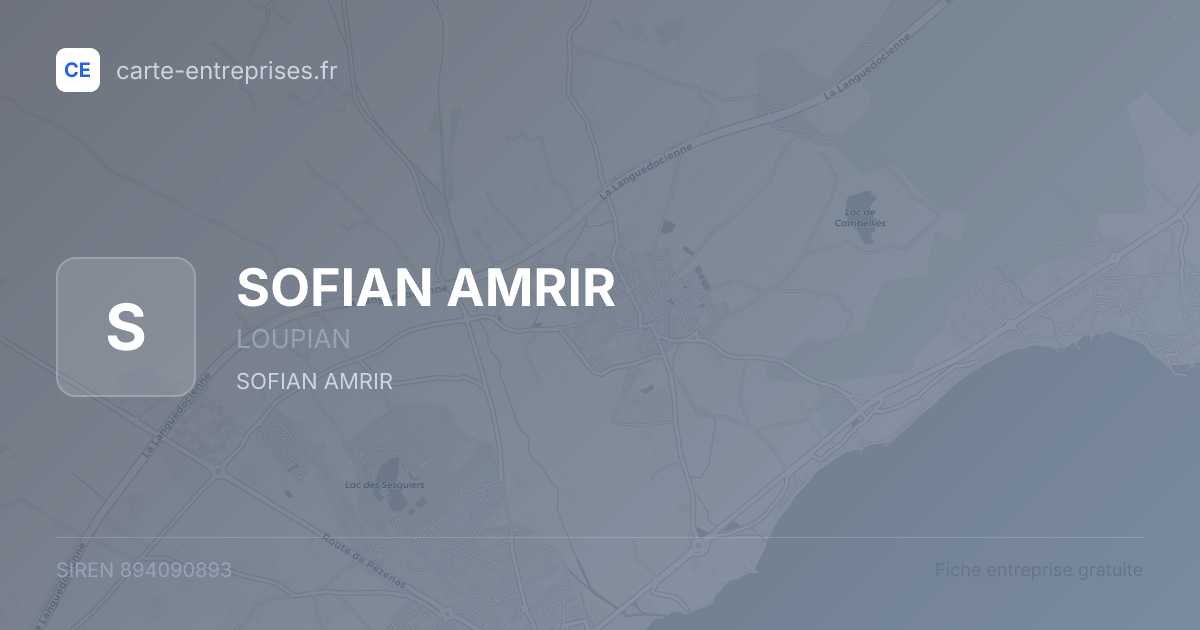 SOFIAN AMRIR — 894090893 — fiche entreprise