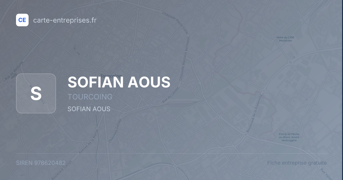 SOFIAN AOUS — 978620482 — fiche entreprise