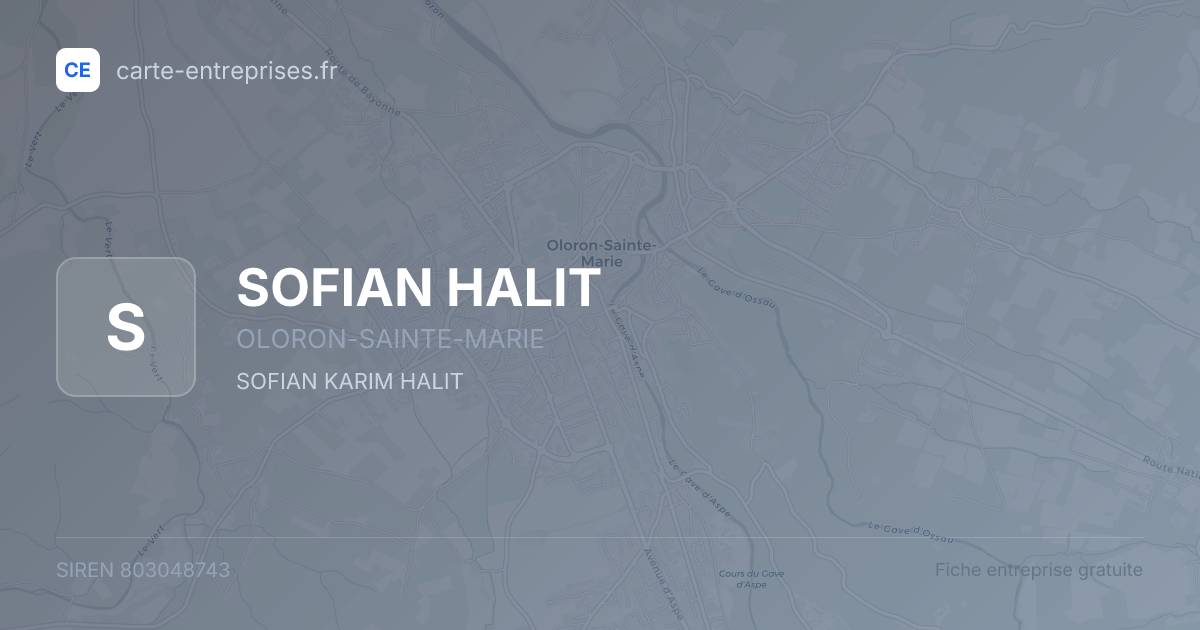 SOFIAN HALIT — 803048743 — fiche entreprise