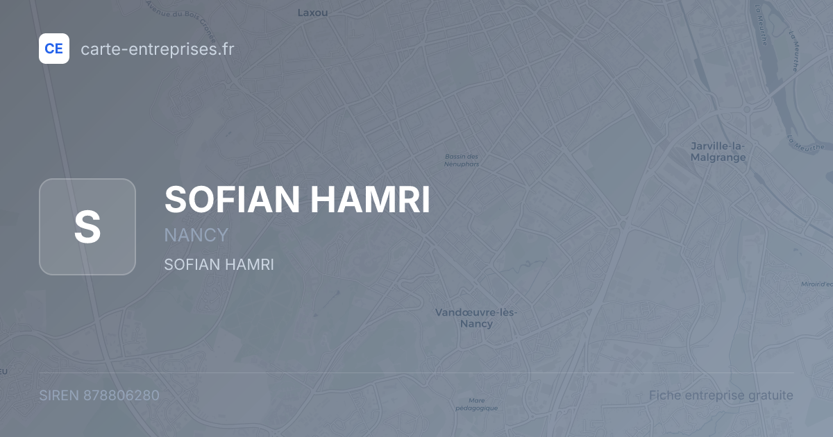 SOFIAN HAMRI — 878806280 — fiche entreprise