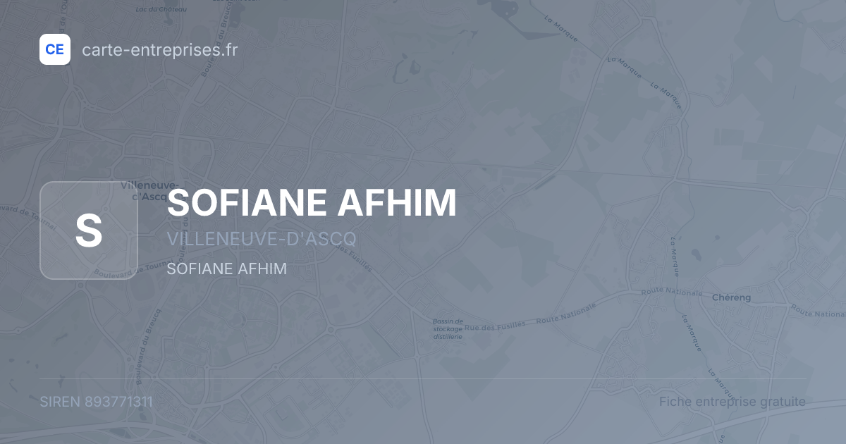 SOFIANE AFHIM — 893771311 — fiche entreprise
