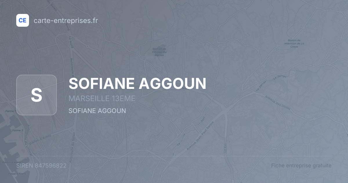 SOFIANE AGGOUN — 847596822 — fiche entreprise