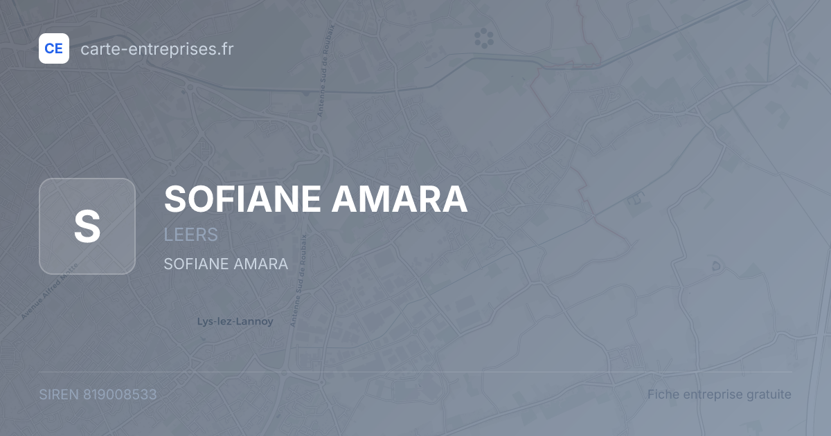 SOFIANE AMARA — 819008533 — fiche entreprise
