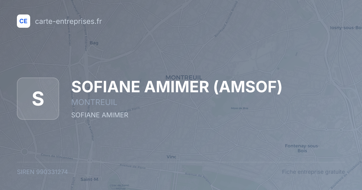 SOFIANE AMIMER (AMSOF) — 990331274 — fiche entreprise