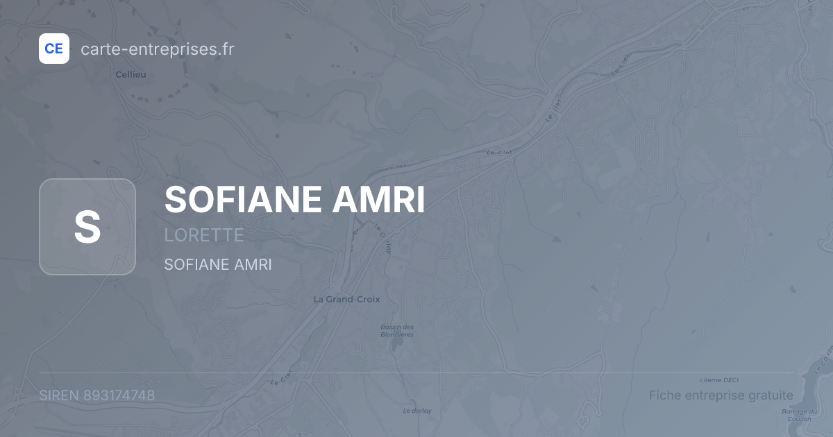 SOFIANE AMRI — 893174748 — fiche entreprise