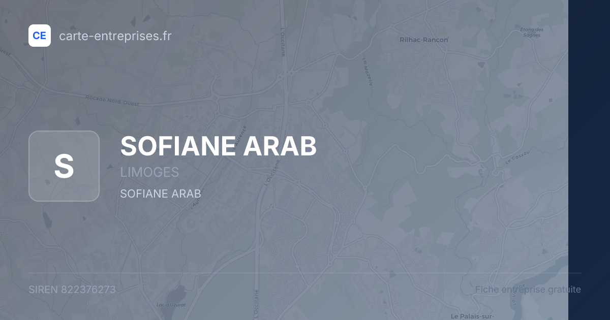 SOFIANE ARAB — 822376273 — fiche entreprise