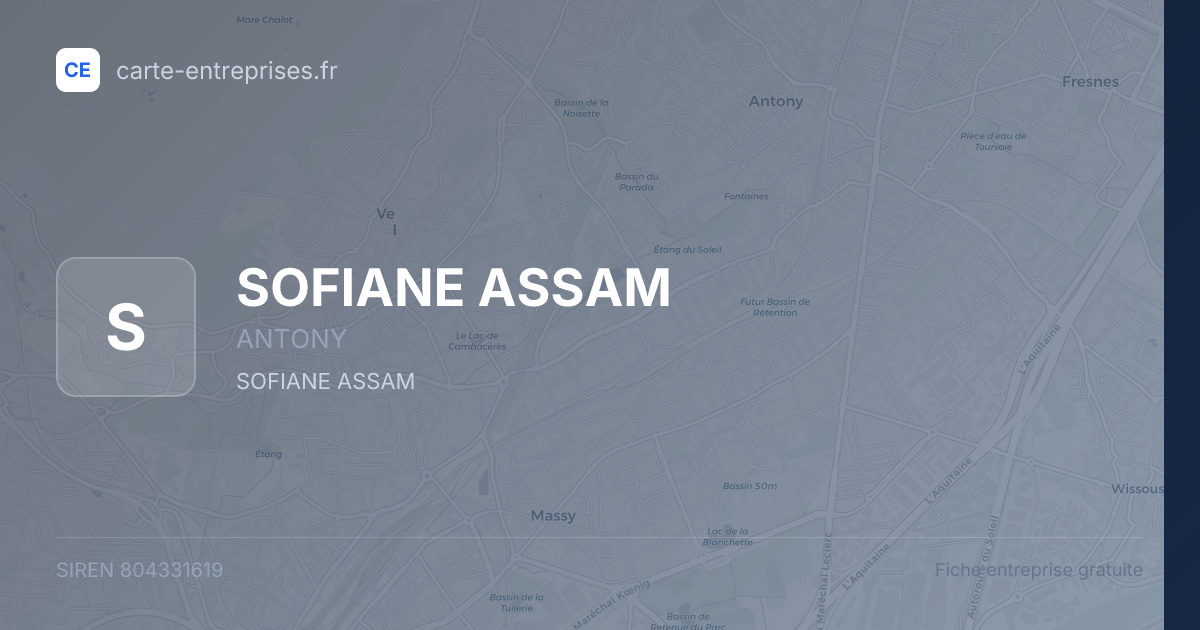SOFIANE ASSAM — 804331619 — fiche entreprise