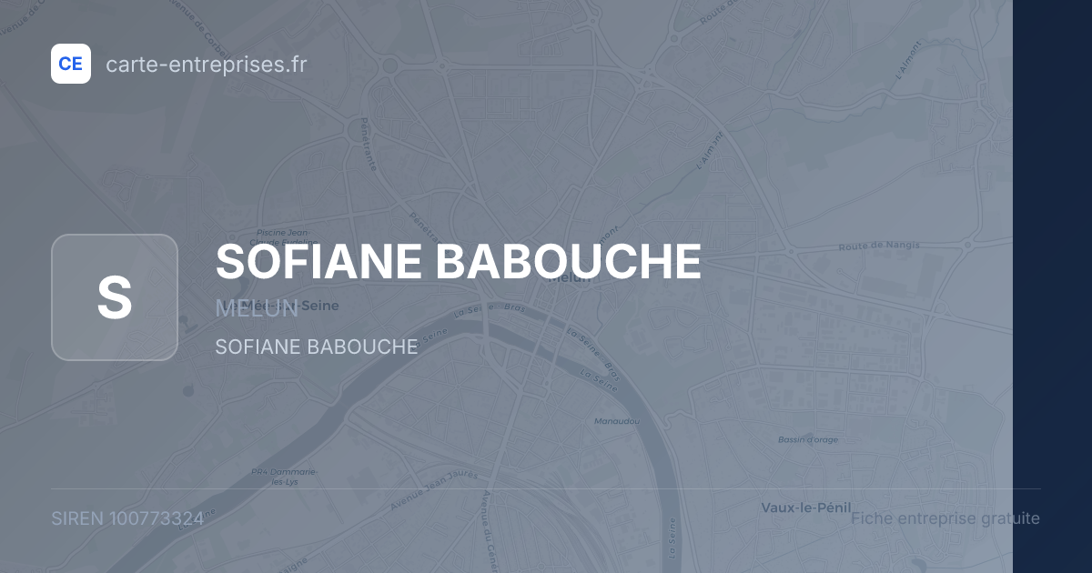 SOFIANE BABOUCHE — 100773324 — fiche entreprise