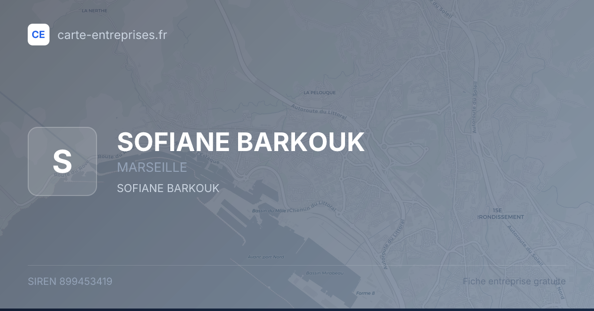 SOFIANE BARKOUK — 899453419 — fiche entreprise