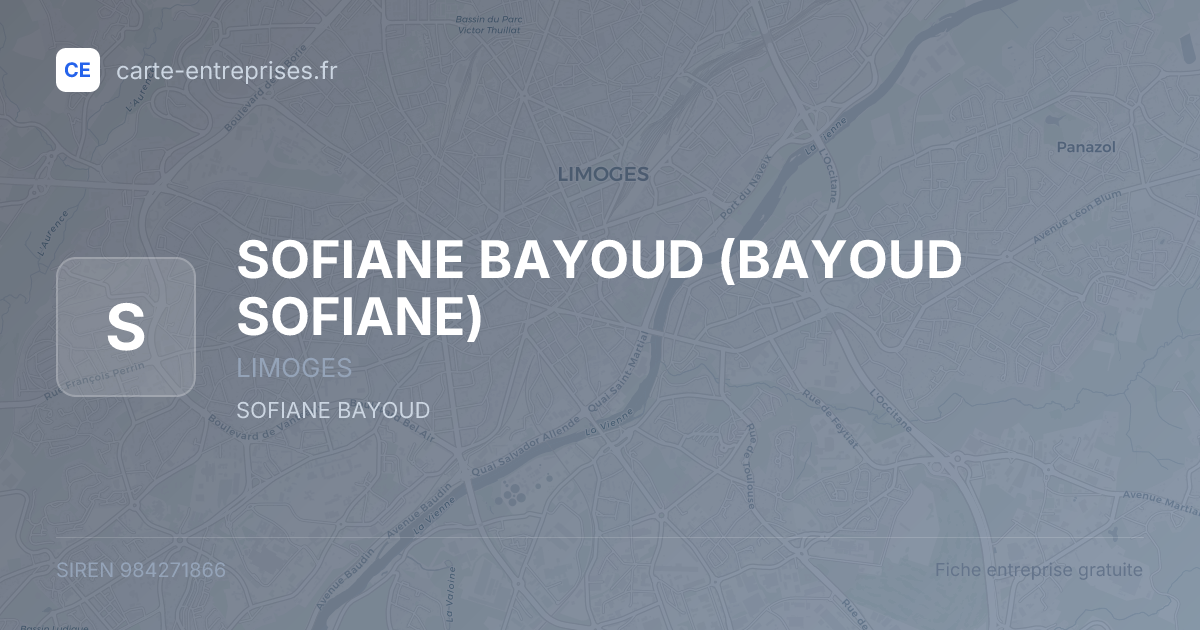 SOFIANE BAYOUD (BAYOUD SOFIANE) — 984271866 — fiche entreprise