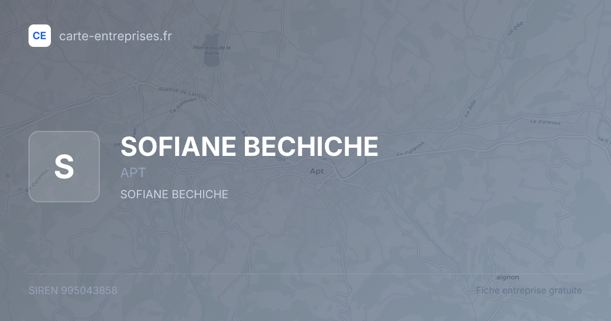 SOFIANE BECHICHE — 995043858 — fiche entreprise