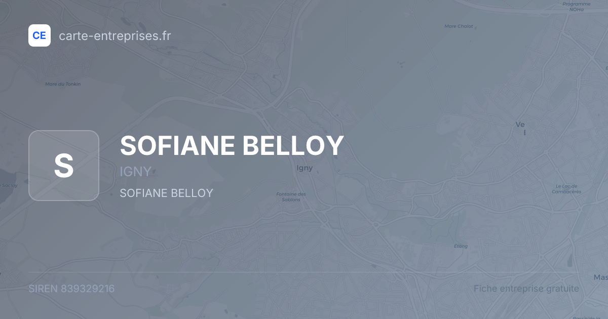 SOFIANE BELLOY — 839329216 — fiche entreprise