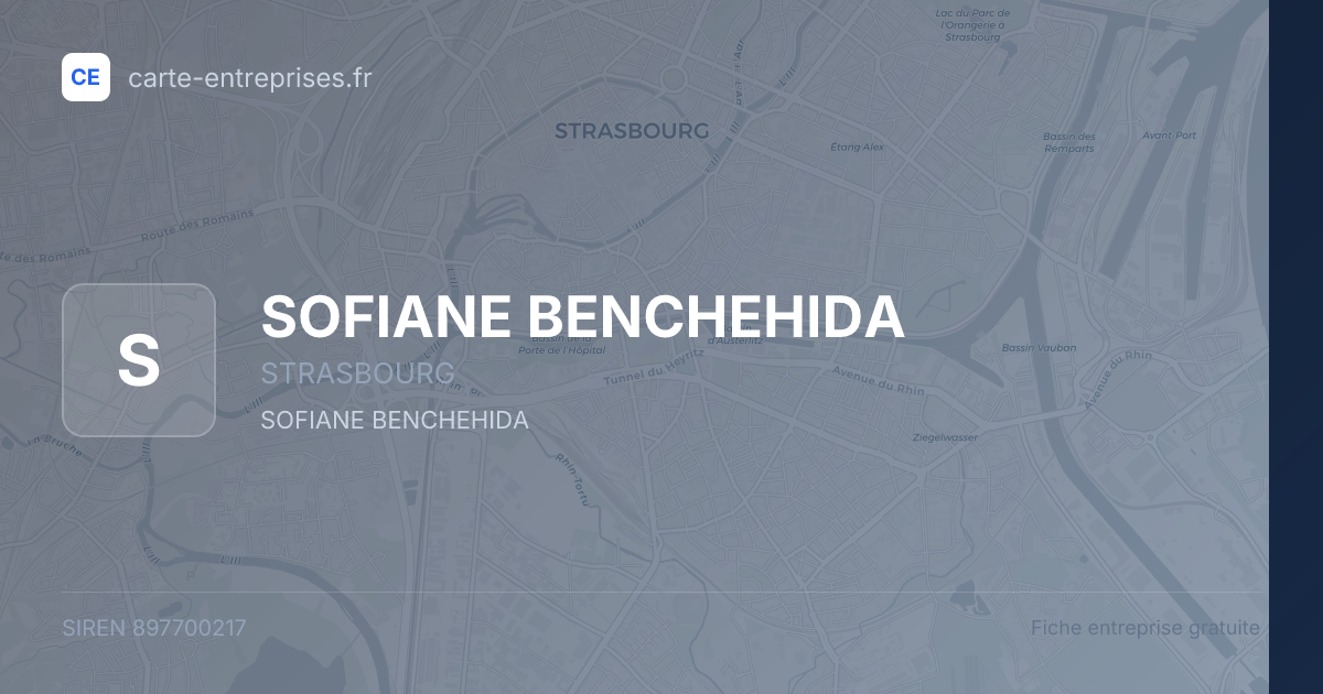 SOFIANE BENCHEHIDA — 897700217 — fiche entreprise