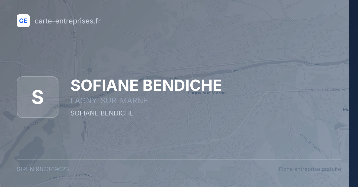SOFIANE BENDICHE — 982349623 — fiche entreprise