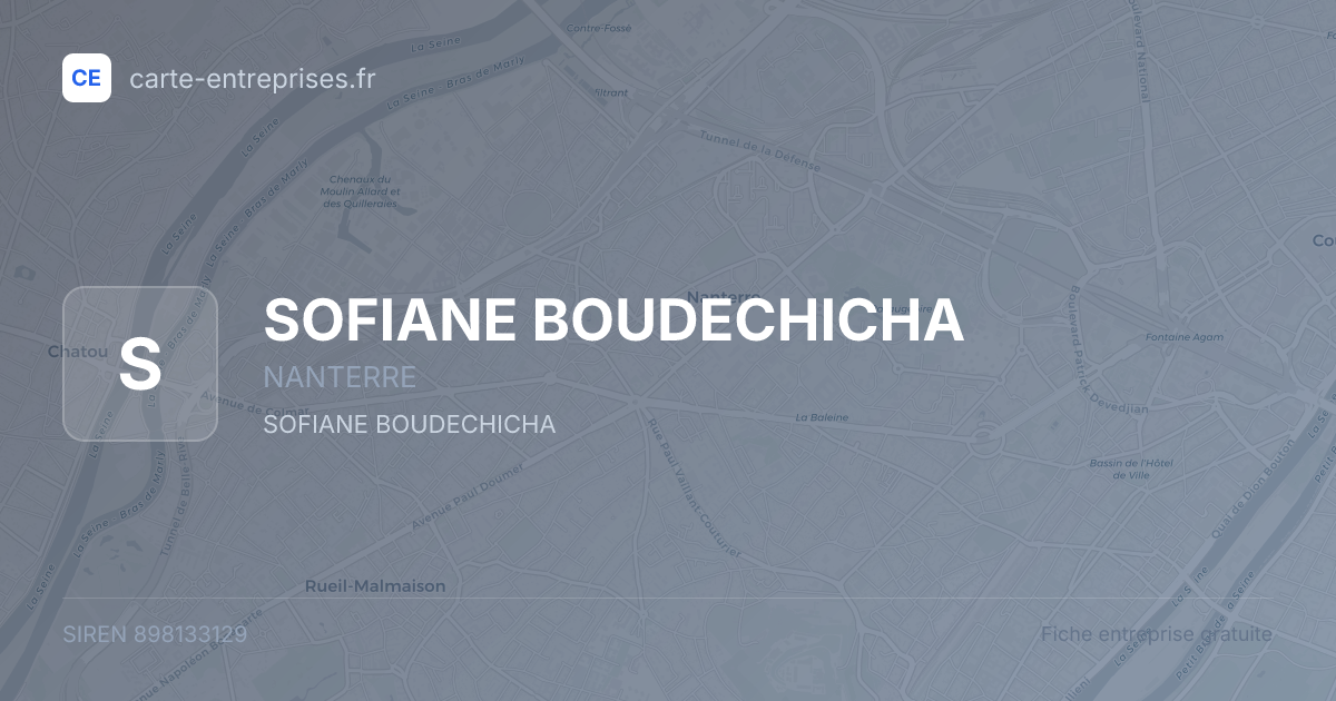 SOFIANE BOUDECHICHA — 898133129 — fiche entreprise