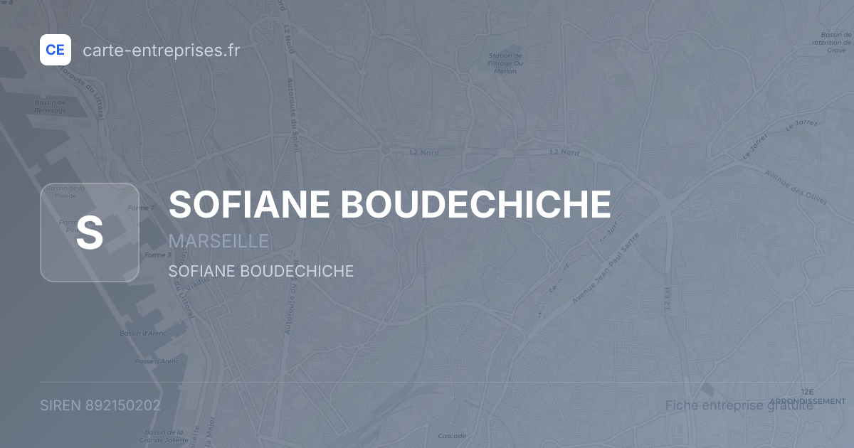 SOFIANE BOUDECHICHE — 892150202 — fiche entreprise