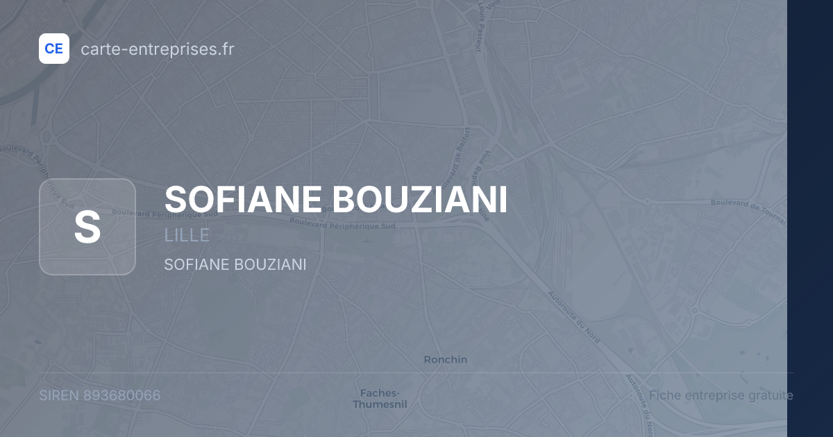 SOFIANE BOUZIANI — 893680066 — fiche entreprise