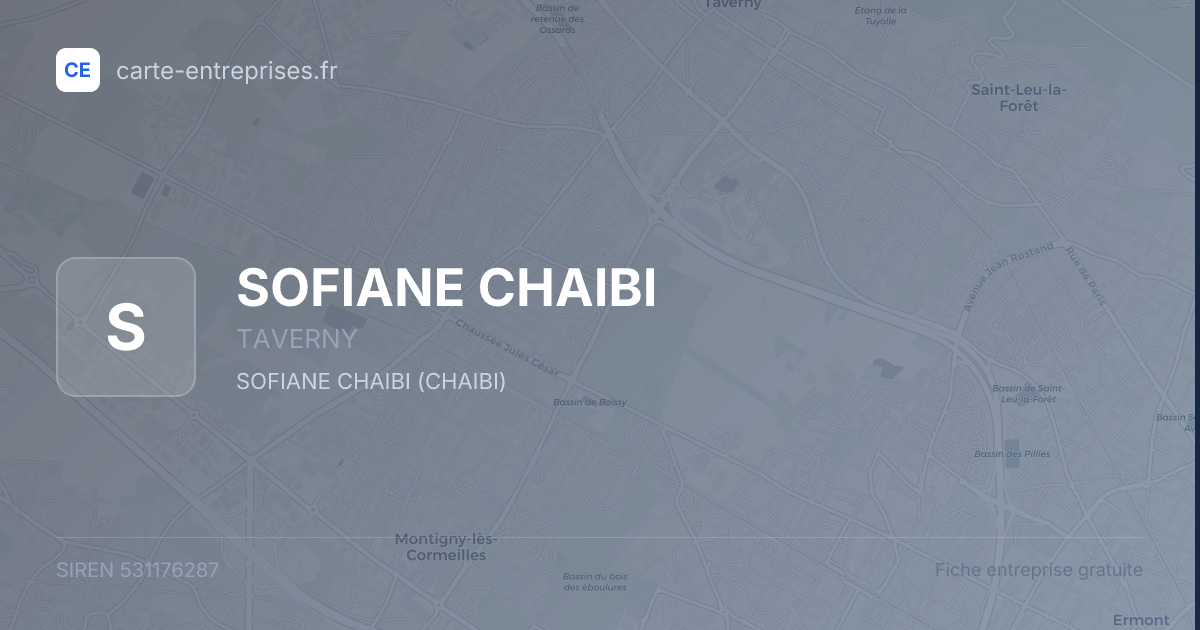 SOFIANE CHAIBI — 531176287 — fiche entreprise