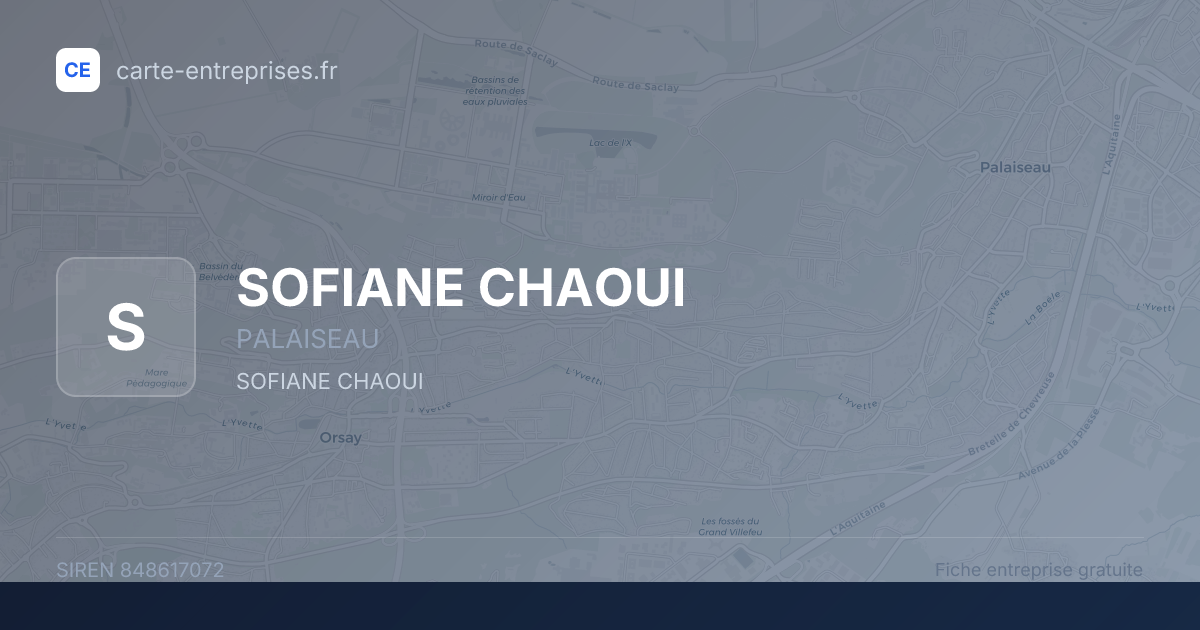 SOFIANE CHAOUI — 848617072 — fiche entreprise