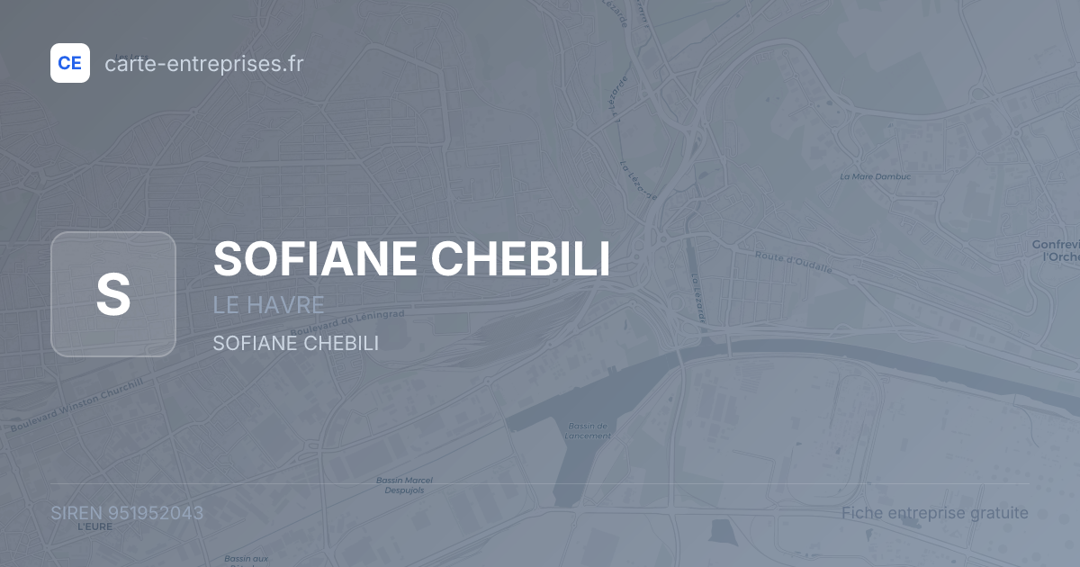 SOFIANE CHEBILI — 951952043 — fiche entreprise