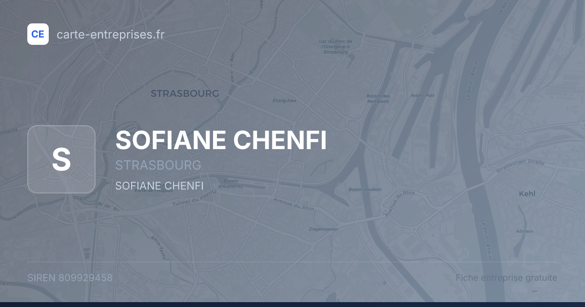 SOFIANE CHENFI — 809929458 — fiche entreprise
