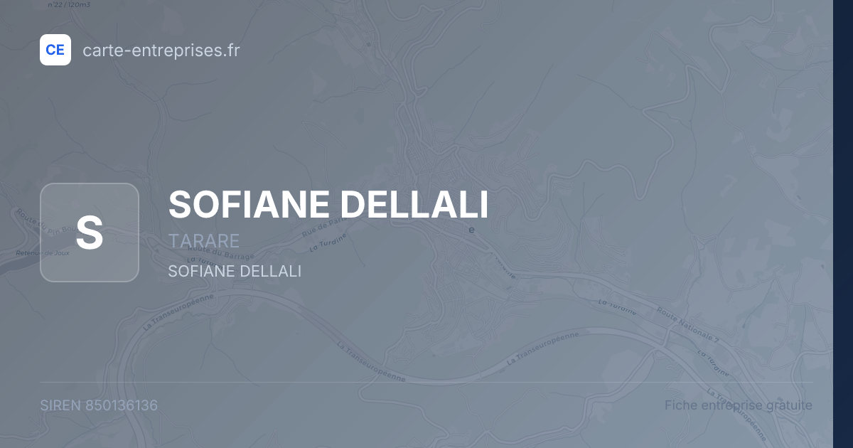 SOFIANE DELLALI — 850136136 — fiche entreprise