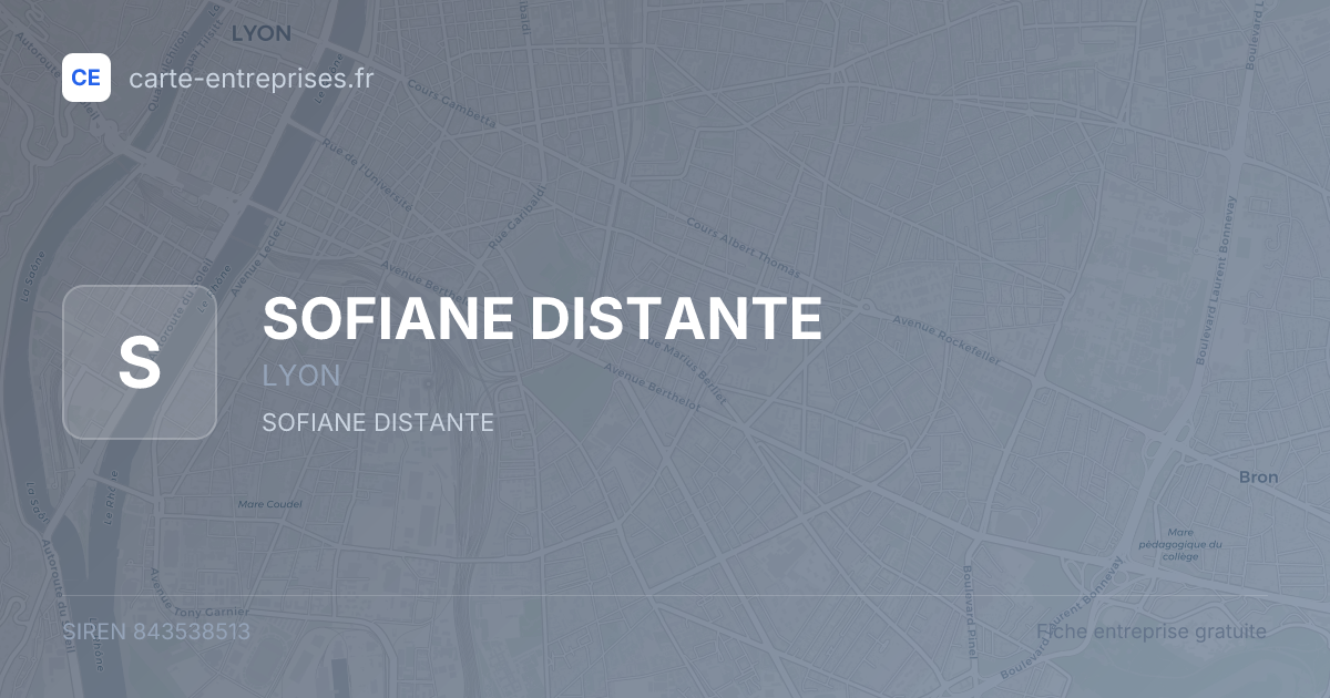 SOFIANE DISTANTE — 843538513 — fiche entreprise