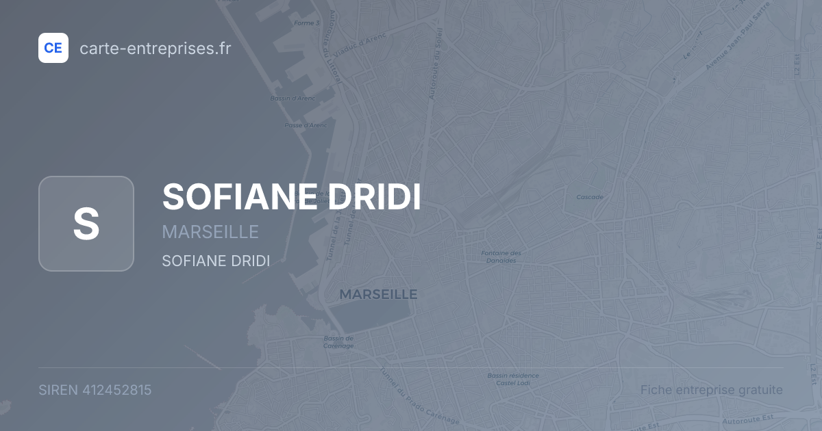 SOFIANE DRIDI — 412452815 — fiche entreprise