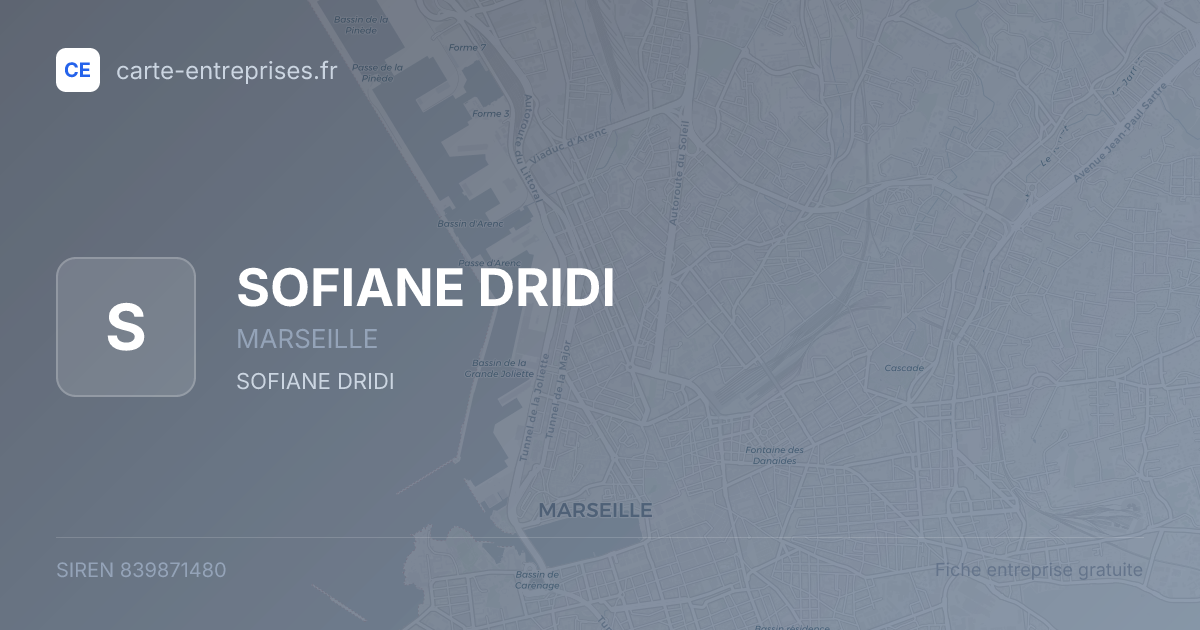 SOFIANE DRIDI — 839871480 — fiche entreprise