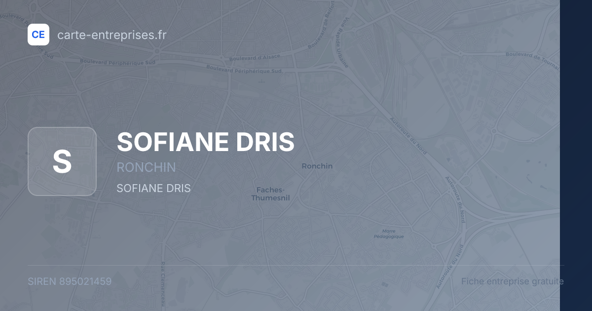 SOFIANE DRIS — 895021459 — fiche entreprise
