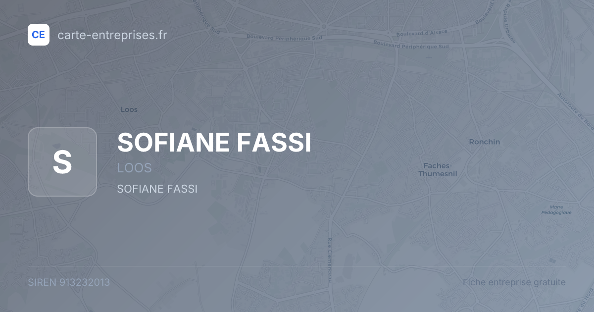 SOFIANE FASSI — 913232013 — fiche entreprise