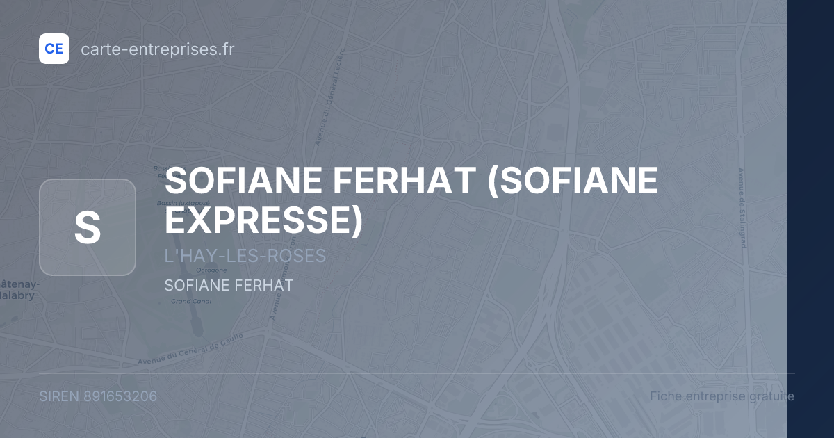SOFIANE FERHAT (SOFIANE EXPRESSE) — 891653206 — fiche entreprise