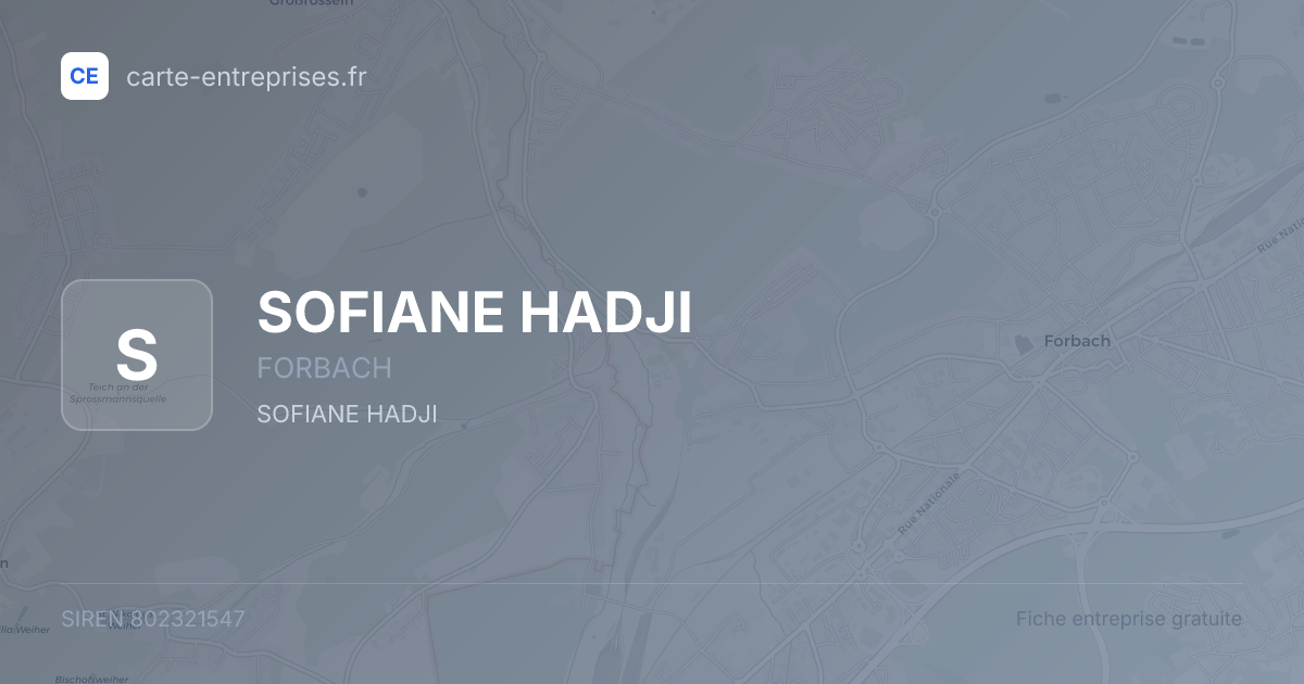 SOFIANE HADJI — 802321547 — fiche entreprise