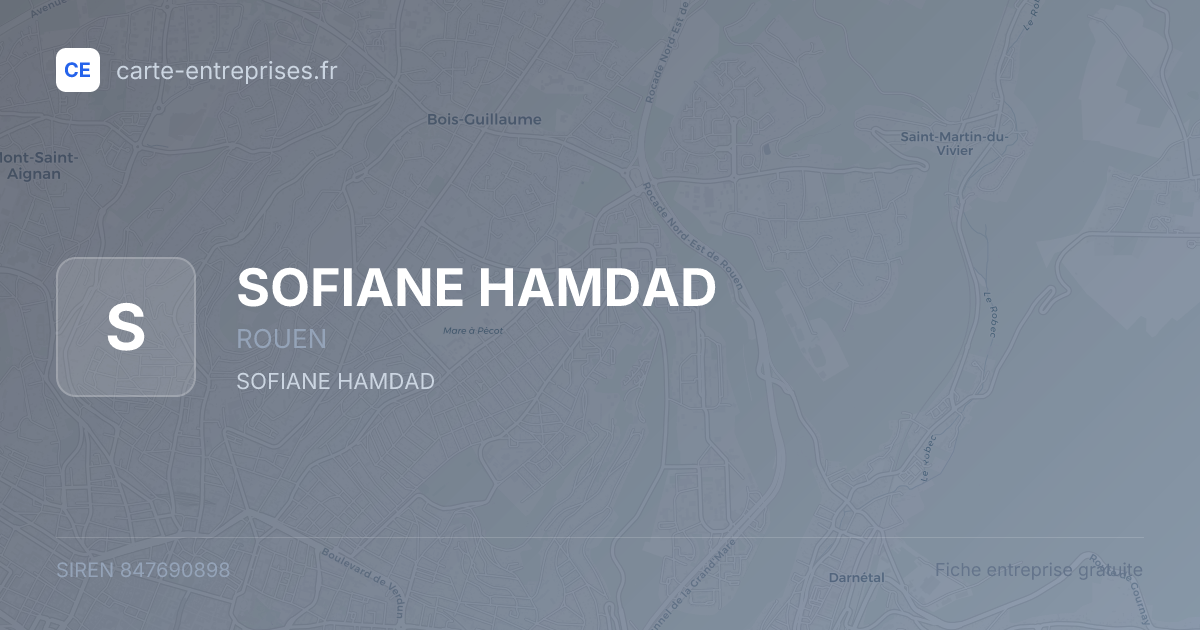 SOFIANE HAMDAD — 847690898 — fiche entreprise