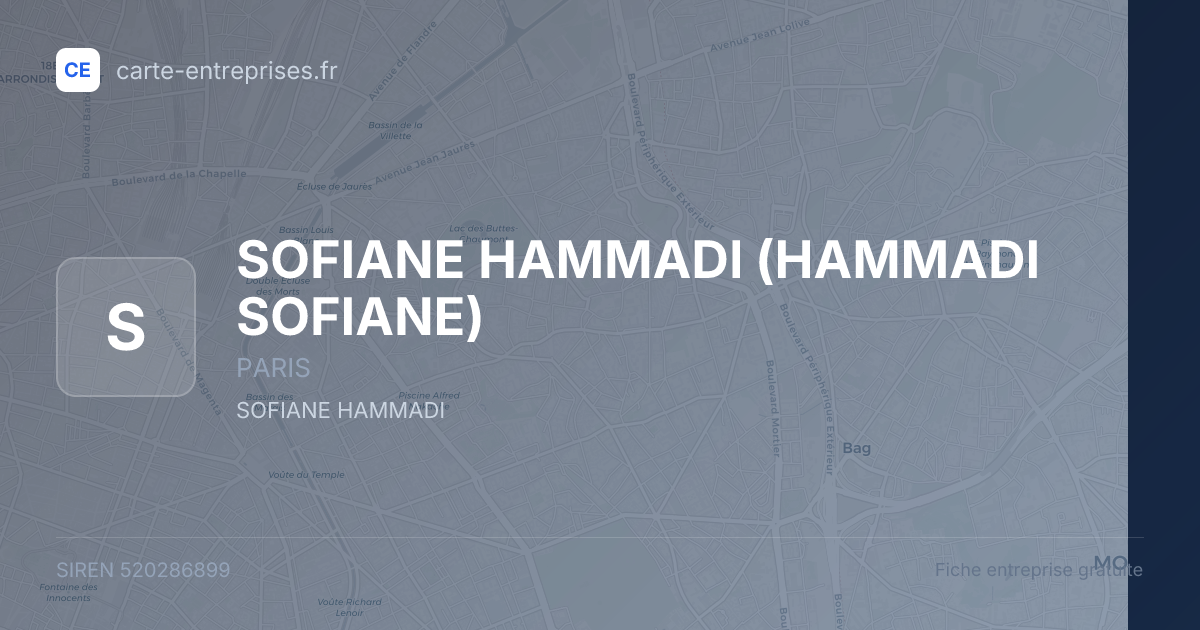 SOFIANE HAMMADI (HAMMADI SOFIANE) — 520286899 — fiche entreprise