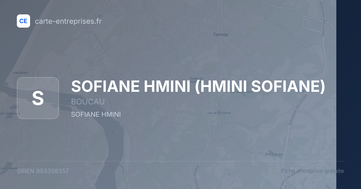 SOFIANE HMINI (HMINI SOFIANE) — 993358357 — fiche entreprise