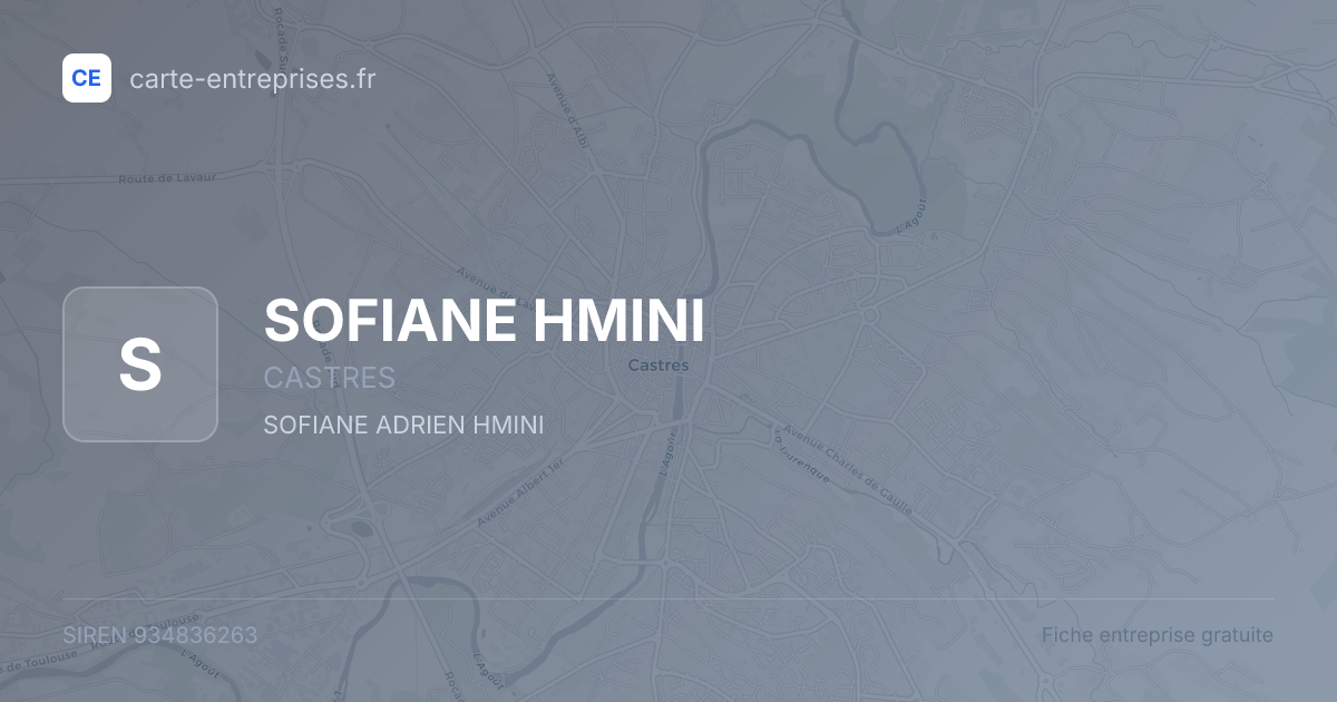 SOFIANE HMINI — 934836263 — fiche entreprise