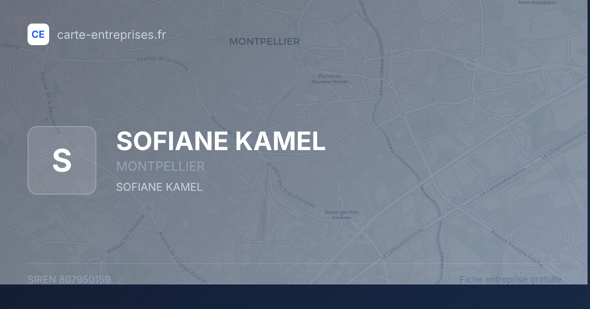 SOFIANE KAMEL — 807950159 — fiche entreprise