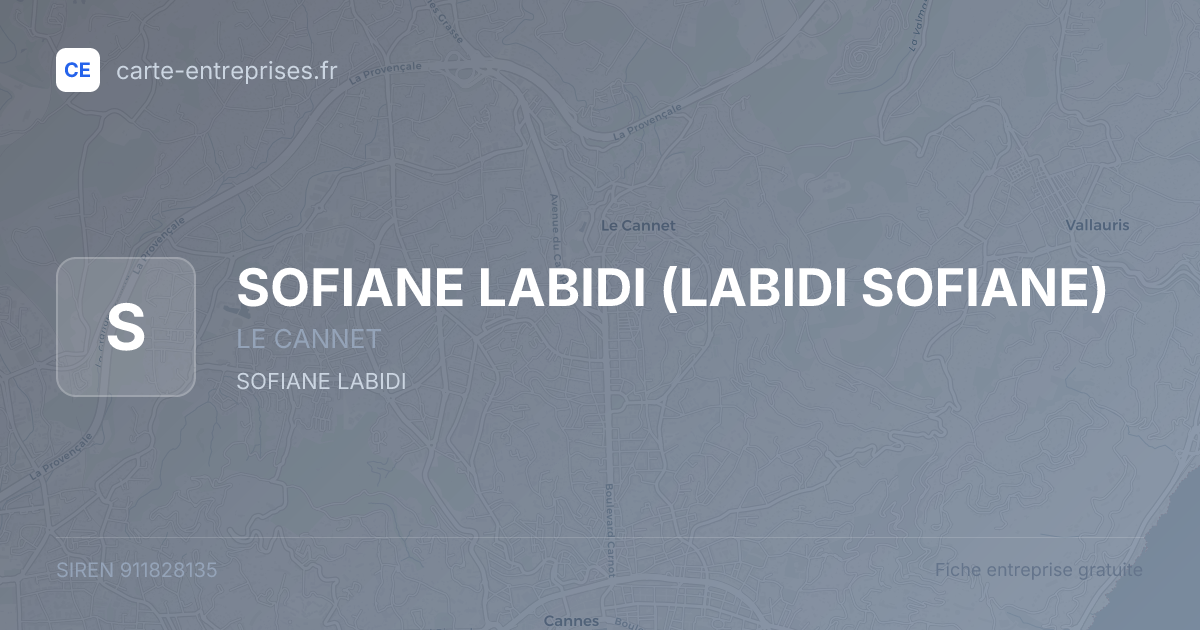 SOFIANE LABIDI (LABIDI SOFIANE) — 911828135 — fiche entreprise