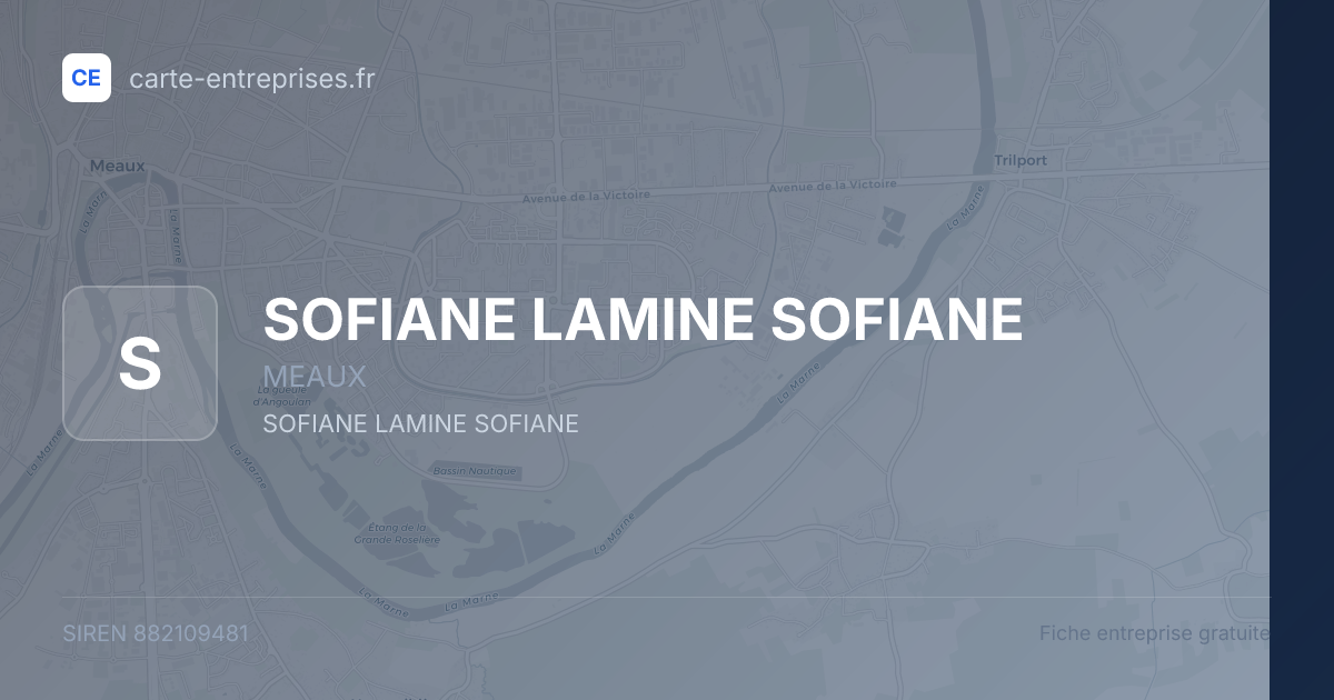 SOFIANE LAMINE SOFIANE — 882109481 — fiche entreprise